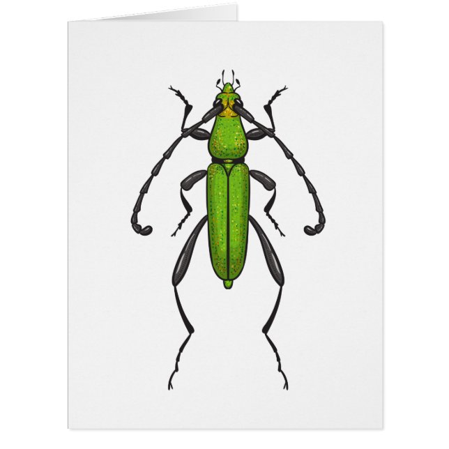 Green beetle (Front)