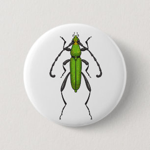 Green beetle 6 cm round badge