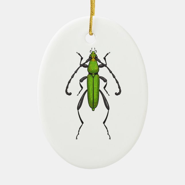 Green beetle ceramic ornament (Front)