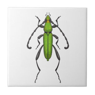 Green beetle ceramic tile