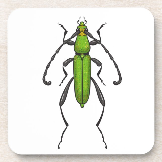 Green beetle coaster (Front)