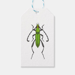 Green beetle gift tags