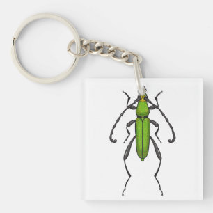 Green beetle key ring