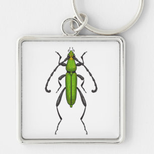 Green beetle key ring