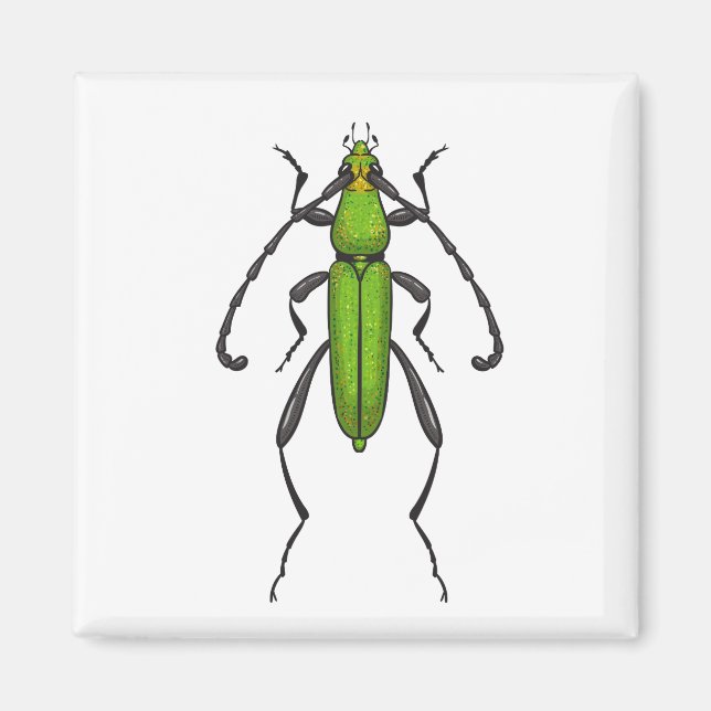 Green beetle magnet (Front)