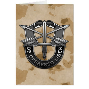 Green Berets DUI