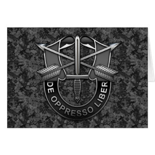 Green Berets DUI