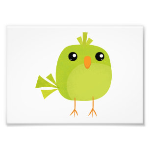 Green Bird Cartoon Photo Print