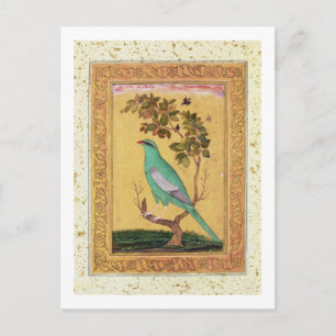 Green Bird, Mughal (gouache on paper) Postcard