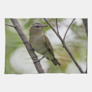 Green Bird, Red-Eyed Vireo, Canadian Photography Tea Towel