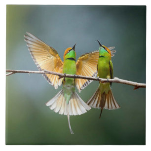 Green Birds Frolic in the Trees Photograph Ceramic Tile