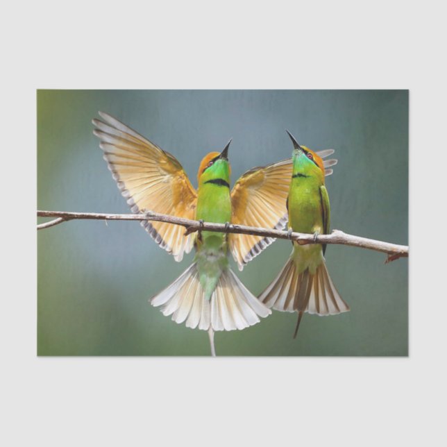 Green Birds Frolic in the Trees Photograph Tissue Paper (Front)