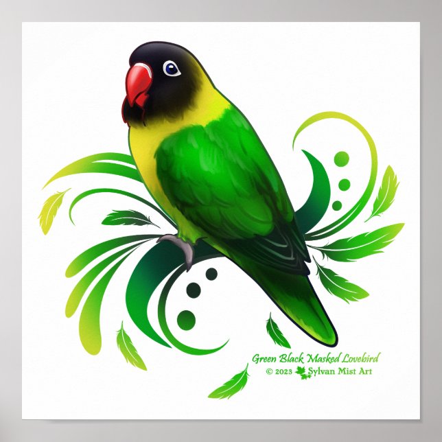 Green Black Masked Lovebird Poster (Front)