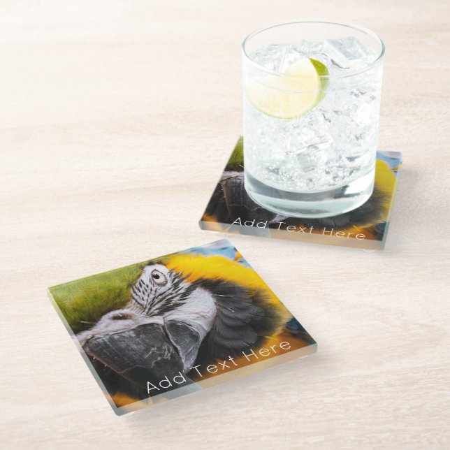 Green, Blue and Yellow Macaw Parrot Glass Coaster (Angled)