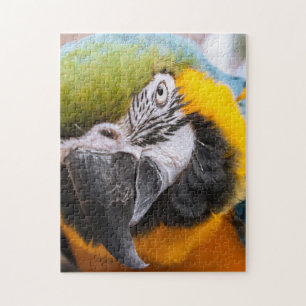Green, Blue and Yellow Macaw Parrot Jigsaw Puzzle