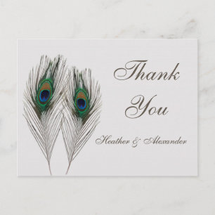 Green blue peacock feathers Thank You Postcard
