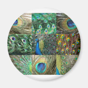 Green Blue Peacock photo collage Magnet