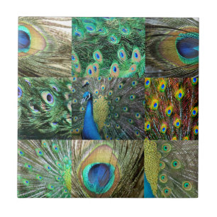 Green Blue Peacock photo collage Tile