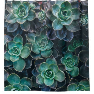 Green Blue Succulent Plants Shower Curtain