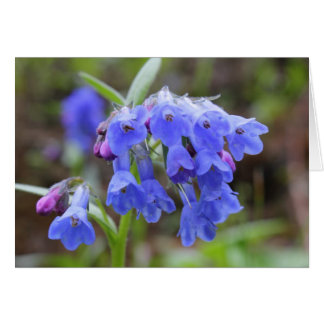Green Bluebells