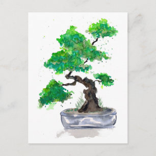 Green Bonsai Watercolor Postcard
