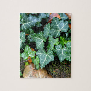 Green botanical Ivy and field stone Jigsaw Puzzle