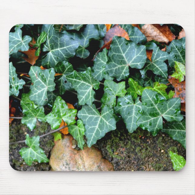Green botanical Ivy and field stone Mouse Pad (Front)