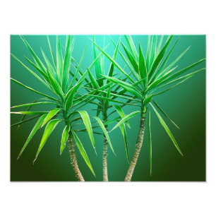 Green Botanical Palm Tree Cushion Photo Print
