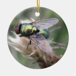 Green Bottle Fly Macro Birthday Ceramic Tree Decoration
