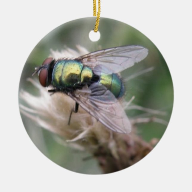 Green Bottle Fly Macro Birthday Ceramic Tree Decoration (Front)