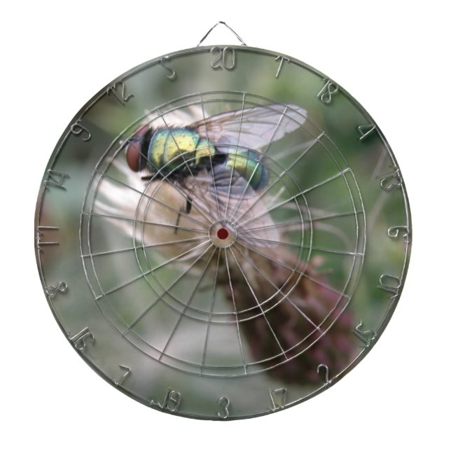 Green Bottle Fly Macro Dart Board (Front)