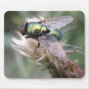 Green Bottle Fly Macro Mousepad