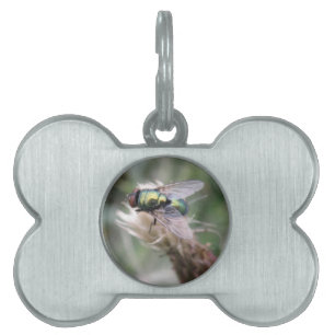 Green Bottle Fly Macro Pet Tag