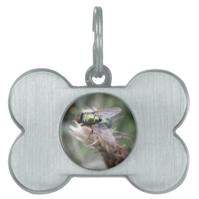 Green Bottle Fly Macro Pet Tag (Front)