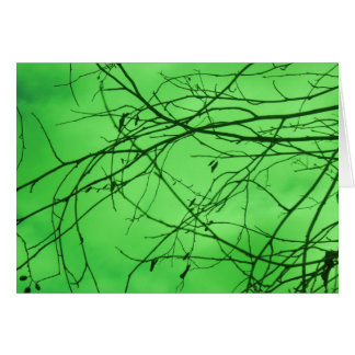 Green Branches