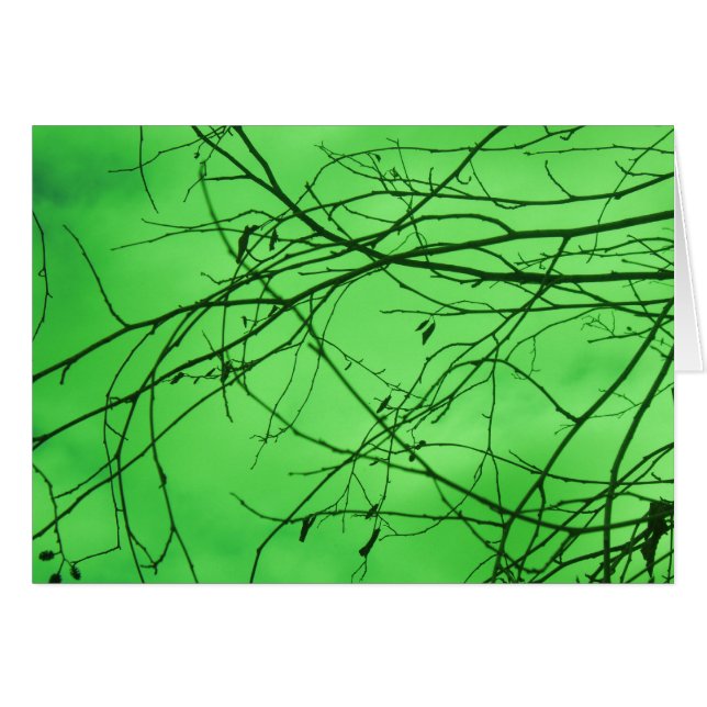 Green Branches (Front Horizontal)