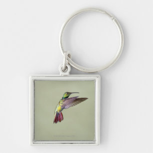 Green-breasted Mango Hummingbird Anthracocorax 2 Key Ring