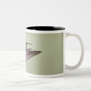 Green-breasted Mango Hummingbird Anthracocorax 2 Two-Tone Coffee Mug