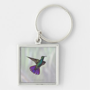 Green-breasted Mango Hummingbird Anthracocorax Key Ring