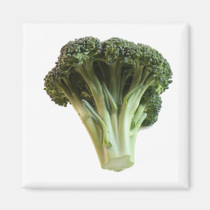 Green Broccoli Invites a Salad on a  Magnet