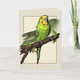 Green Budgie Art Greetings Card