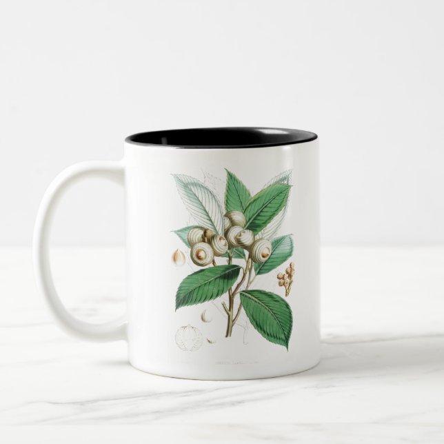Green Bull Oak Two-Tone Coffee Mug (Left)