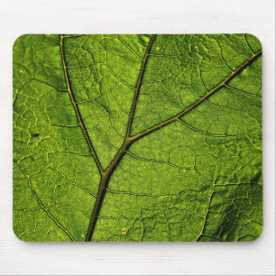 Green Butterbur Leaf Mouse Pad