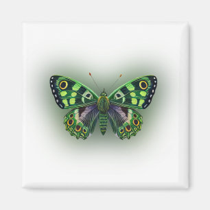 Green Butterfly Magnet