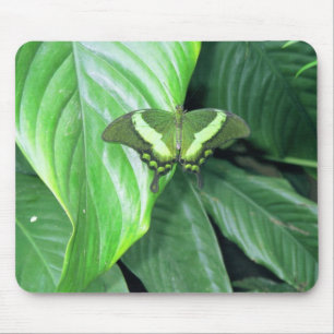 Green Butterfly Mouse Pad