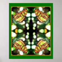 Green Butterfly Posing Abstract