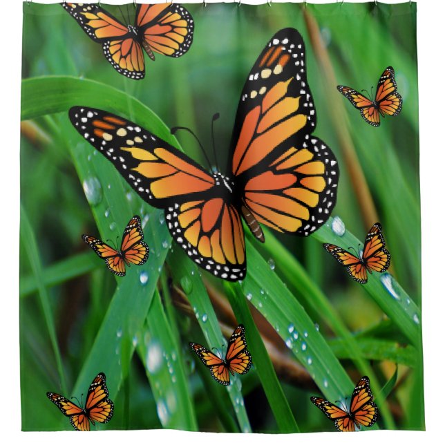 green butterfly shower curtain (Front)