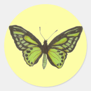 Green Butterfly Sticker