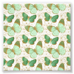 Green Butterfly White Floral Flower Blossom Photo Print