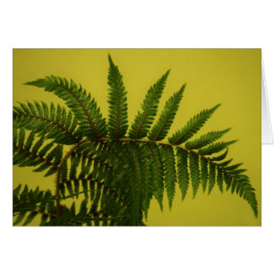 "green" by Larry Coressel